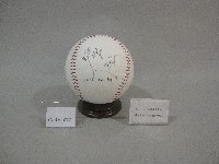 藏品(簽名棒球：陳偉殷、陳冠宇簽名)的圖片