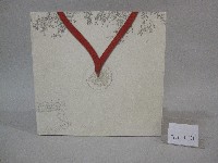 藏品(國立體育大學98級畢業紀念冊)的圖片