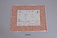藏品(2008年北京奧運男子跆拳58公斤銅牌奬狀_朱木炎)的圖片
