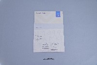 藏品(吳蕙如_2004年雅典奧運銅牌成績證明)的圖片