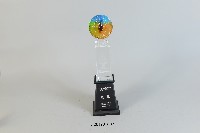 藏品(九十五年全國大專校院運動會女甲組 桌球團體錦標冠軍)的圖片