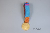 藏品(朱木炎勇奪2004年雅典奧運跆拳道男子58公斤級-金牌)的圖片