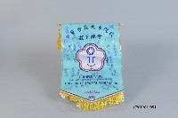 藏品(2008年第4屆世界大學棒球錦標賽-中華隊選手簽名旗幟)的圖片