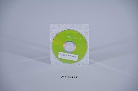 藏品(苗栗元宵龍遊藝踩街活動_電子檔光碟)的圖片