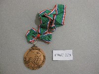 藏品(1999年中華籃球隊參加世界杯籃球賽紀念獎牌)的圖片