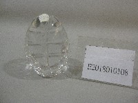 藏品(透明蛋型紀念品-英國羅浮堡大學贈)的圖片