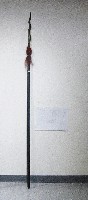 藏品(蛇矛槍)的圖片