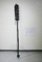 藏品(狼牙棒)的圖片