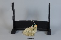 藏品(白短劍穗)的圖片