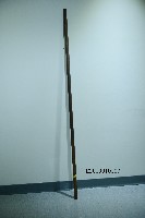 藏品(長木棍)的圖片