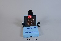 藏品(103年全中運獎牌-銅牌（複製品）)的圖片