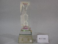 藏品(民國93年全國大專校院運動會-女子甲組桌球團體錦標-亞軍獎盃)的圖片