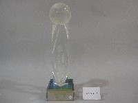 藏品(民國93年全國大專校院運動會-女子甲組團體總錦標-亞軍獎盃)的圖片