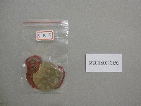 藏品(北港鎮第9屆全鎮運動大會-第3名獎牌)的圖片