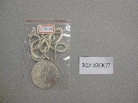 藏品(雲林縣第15屆全縣運動大會-銀獎牌)的圖片