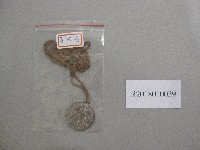 藏品(XVIIII65大師-第3名獎牌)的圖片