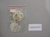 藏品(雲林縣第18屆全縣運動大會-銀牌獎牌)的圖片