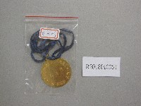 藏品(北港鎮第9屆全鎮運動大會-第1名獎牌)的圖片