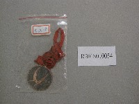 藏品(XXI1967第3名獎牌)的圖片