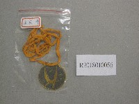 藏品(XXI1967第1名獎牌)的圖片