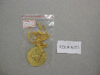 藏品(國立台灣師範大學23週年校慶水上運動大會-第1名獎牌)的圖片