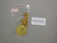 藏品(師大22屆校運-第1名獎牌)的圖片