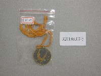 藏品(XXI1967第1名獎牌)的圖片