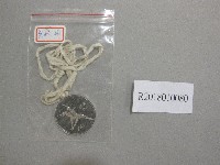 藏品(師大XXI1967第2名獎牌)的圖片
