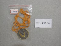 藏品(XXI1967第1名獎牌)的圖片