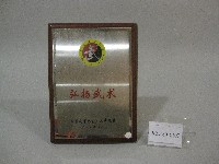 藏品(紀念牌-中國武術協會贈)的圖片