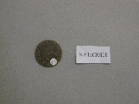 藏品(先師孔子行教像-紀念幣)的圖片