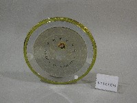 藏品(紀念盤-中國武術協會贈)的圖片