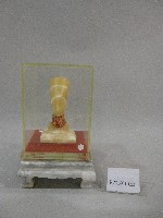 藏品(埃及人頭造型藝術品)的圖片