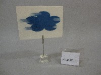 藏品(國立體育學院名片夾)的圖片