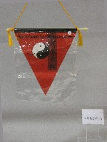 藏品(小錦旗紀念品-世界太極協會贈
)的圖片
