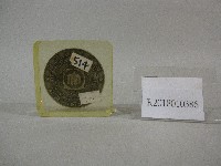 藏品(校園圖-紙鎮紀念品)的圖片