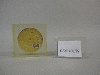 藏品(三巨人舉地球圖-紙鎮紀念品-韓國江原大學贈)的圖片