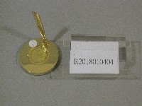藏品(紙鎮筆筒紀念品-美國洛克海文大學贈)的圖片