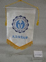 藏品(小錦旗紀念品-日本大阪體育大學贈)的圖片