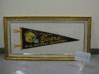 藏品(北科羅拉多熊-三角旗紀念品(裝框))的圖片