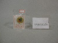 藏品(聖火圖-紀念徽章)的圖片