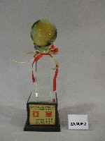 藏品(民國100年全國大專校院運動會-公開男生組體操團體錦標-亞軍獎盃)的圖片