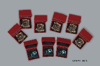 藏品(廣州體育學院紀念徽章)的圖片