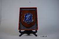 藏品(廣州體育學院院牌)的圖片