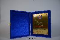 藏品(2002年越南柔道組織致贈感謝牌)的圖片