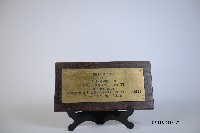 藏品(ICHPER EXECUTIVE COMMITTEE致蔡敏忠博士紀念牌)的圖片