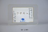 藏品(國立體育學院邱金松院長致贈蔡敏忠教授捐書感謝紀念牌)的圖片