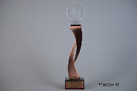 藏品(101年全國大專校院運動會公開女生組擊劍團體錦標殿軍)的圖片