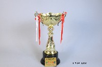 藏品(中華民國大專校院103學年度籃球運動聯賽 公開男生組第一級 第二名)的圖片