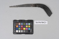 藏品(手鋸)的圖片